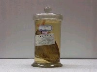 藏品(草鰺)的圖片